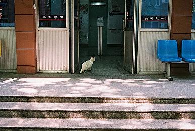 《微软飞行模拟2024》Steam解锁  综合评价”差评如潮“