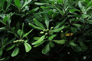 《堕落之主》销量突破两百万份！CEO发文庆祝